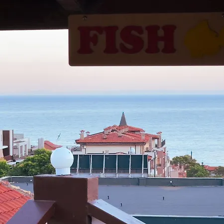 Rubin Guest house